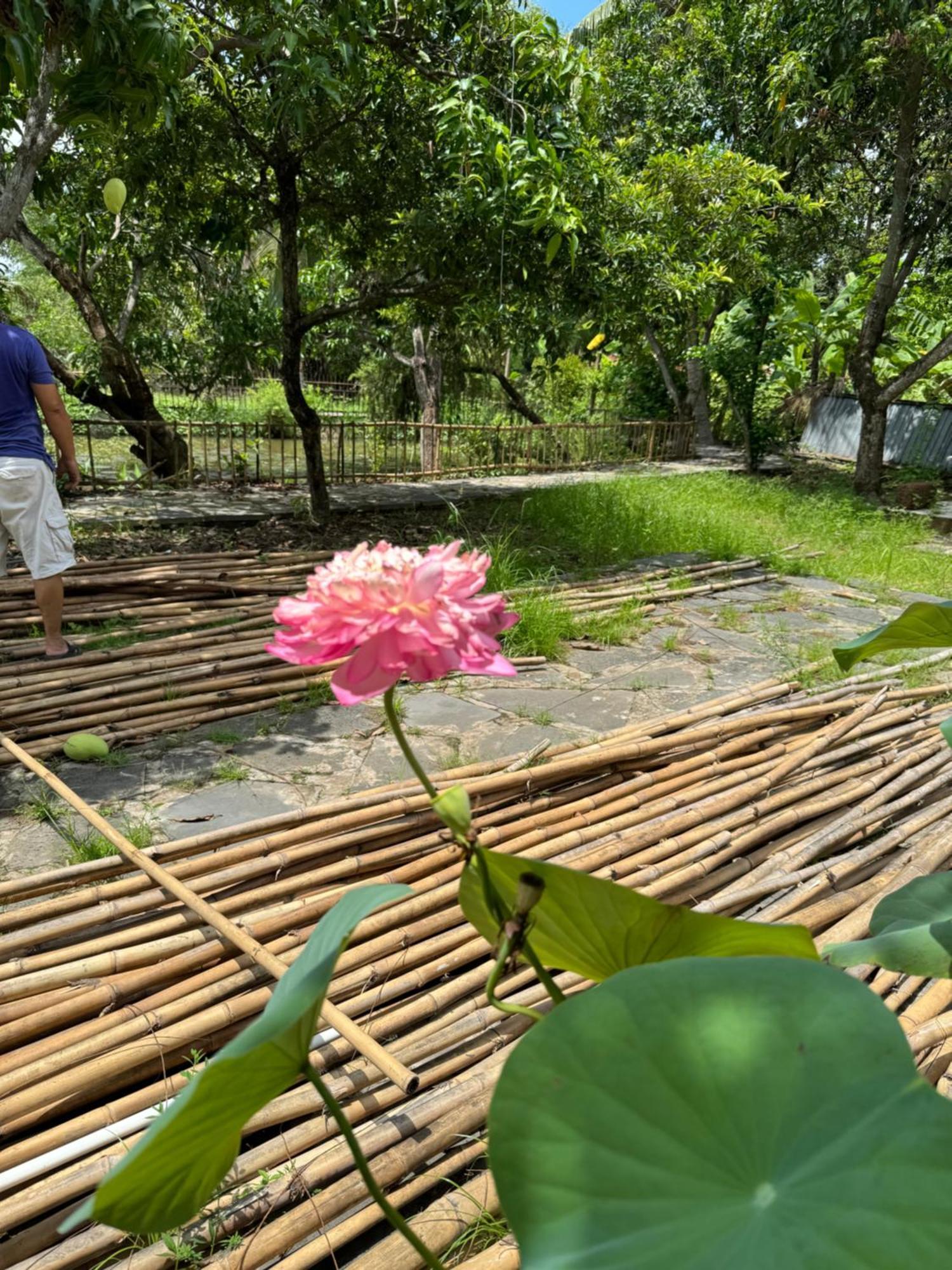 Acomodação com café da manhã  Ha Long *